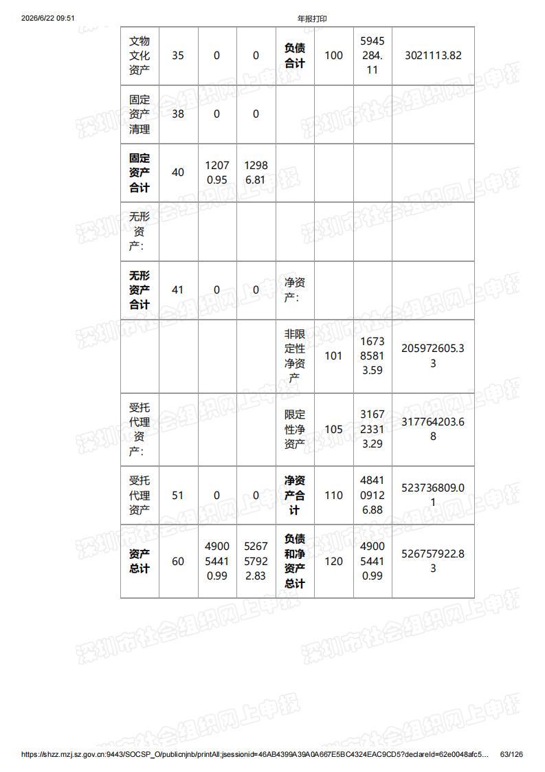 深圳市南方科技大学教育基金会2025年度工作报告书（含财务报告）_63.jpg